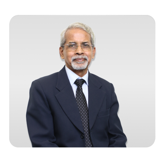 Mr. Balkrishna Kini
